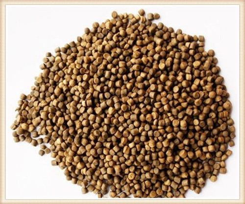 FISH FEED FISH FEED